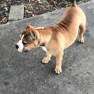 Meet your Posher, Marcel